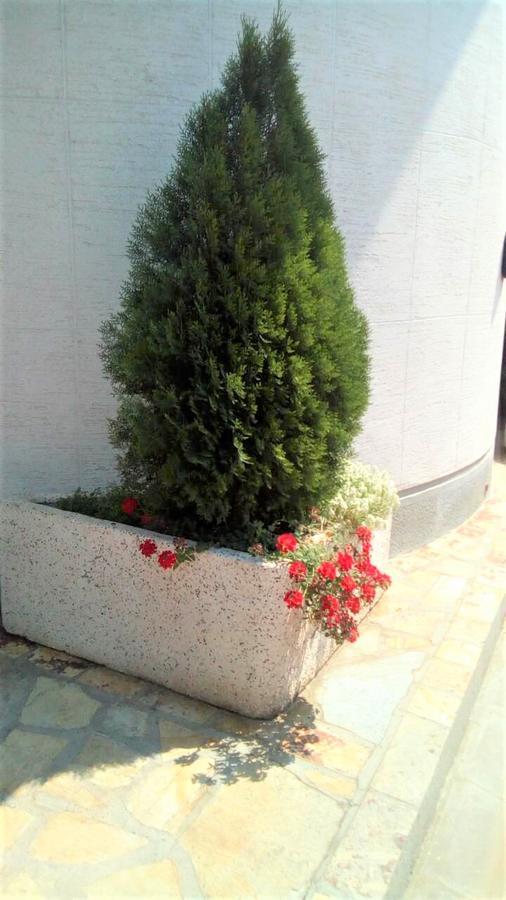 Hotel Tehnograd Kraljevo Exterior photo